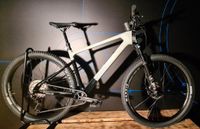 Focus 23 Raven 8.8 Lightgrey/Carbon Raw Gr.M,L,XL UVP: 2799,00€ Nordrhein-Westfalen - Brilon Vorschau