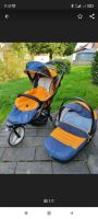 Kinderwagen 2in 1 Rheinland-Pfalz - Bad Marienberg Vorschau