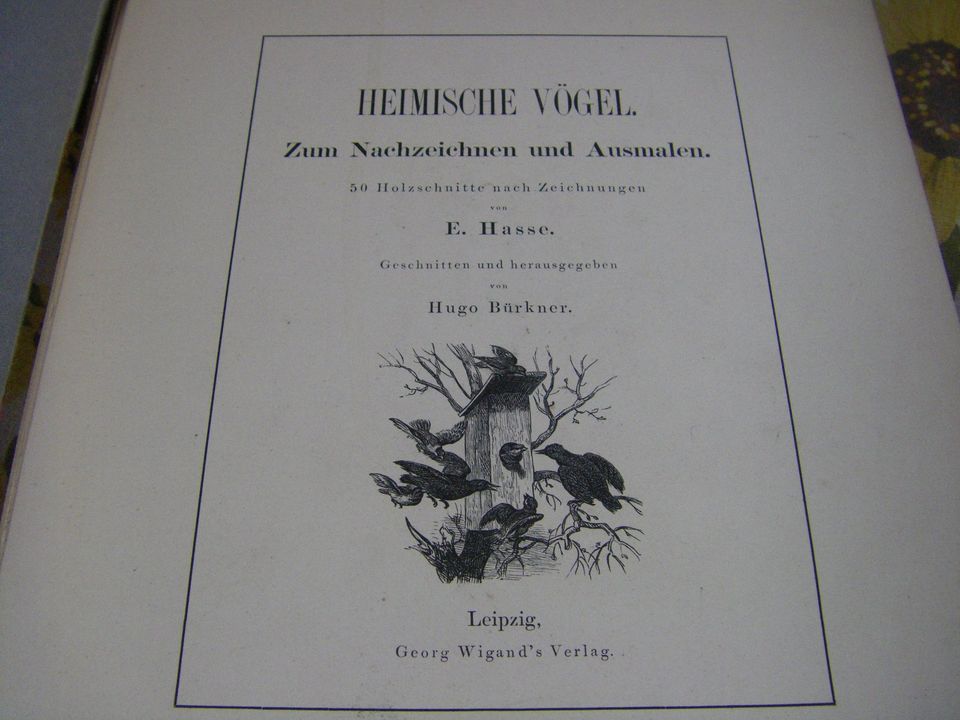 Heimische Vögel von E. Hasse von 1870,50 Holzschnitte in Merkendorf