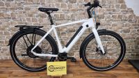 Manufaktur E-Bike mit Pinion 1.12 und Neodrives Heckmotor Niedersachsen - Braunschweig Vorschau