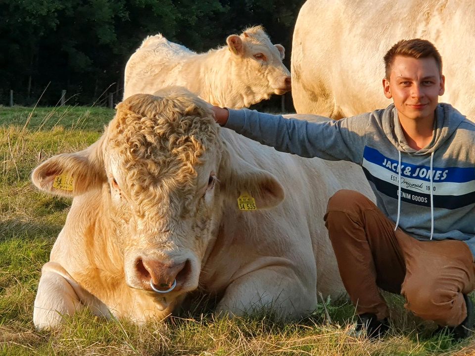 Rindfleisch vom Weiderind noch 2 Pakete in Kirchlengern