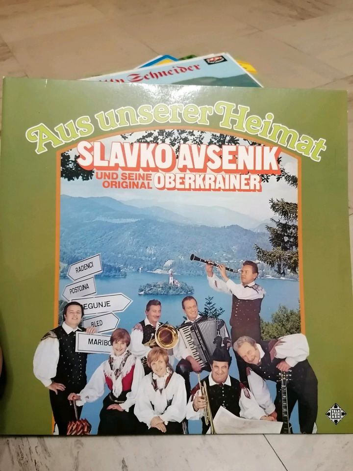 70er Jahre Schallplatten Teil II in Nistertal