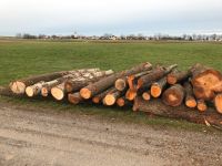 Erle Schwarz Rot Grau Espe Rundholz Stamm Holz Baum Rinde Deko Bayern - Langenmosen Vorschau