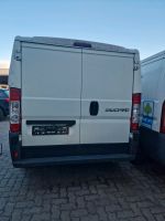 Fiat ducato 250 Hecktüren l rechts weiß Schleswig-Holstein - Rümpel Vorschau