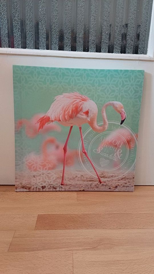 Foto-Leinwand Flamingo in Monheim am Rhein