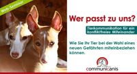 Gefährte gesucht und gefunden. Onlinseminar Bayern - Rieden a. Forggensee Vorschau