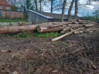 Bauholz, Kaminholz, Feuerholz zu verkaufen. Fichte Tanne Niedersachsen - Lunestedt Vorschau