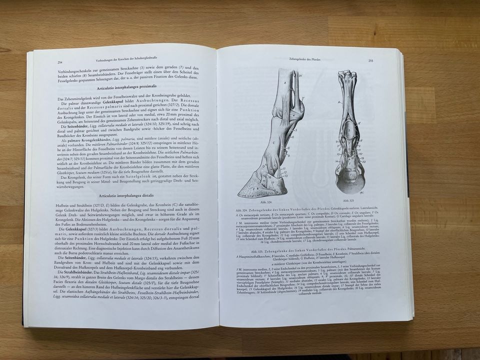 Lehrbuch der Anatomie der Haustiere, Band I: Bewegungsapparat in Alzenau