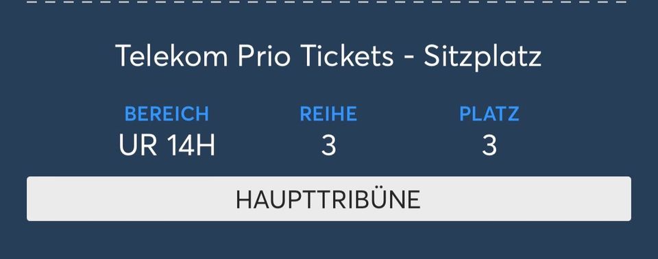 Travis Scott tour ticket in München