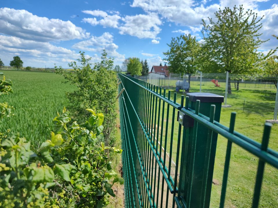 Doppelstabmattenzäune Tore, Pforten Zaunfelder 2D in Cottbus