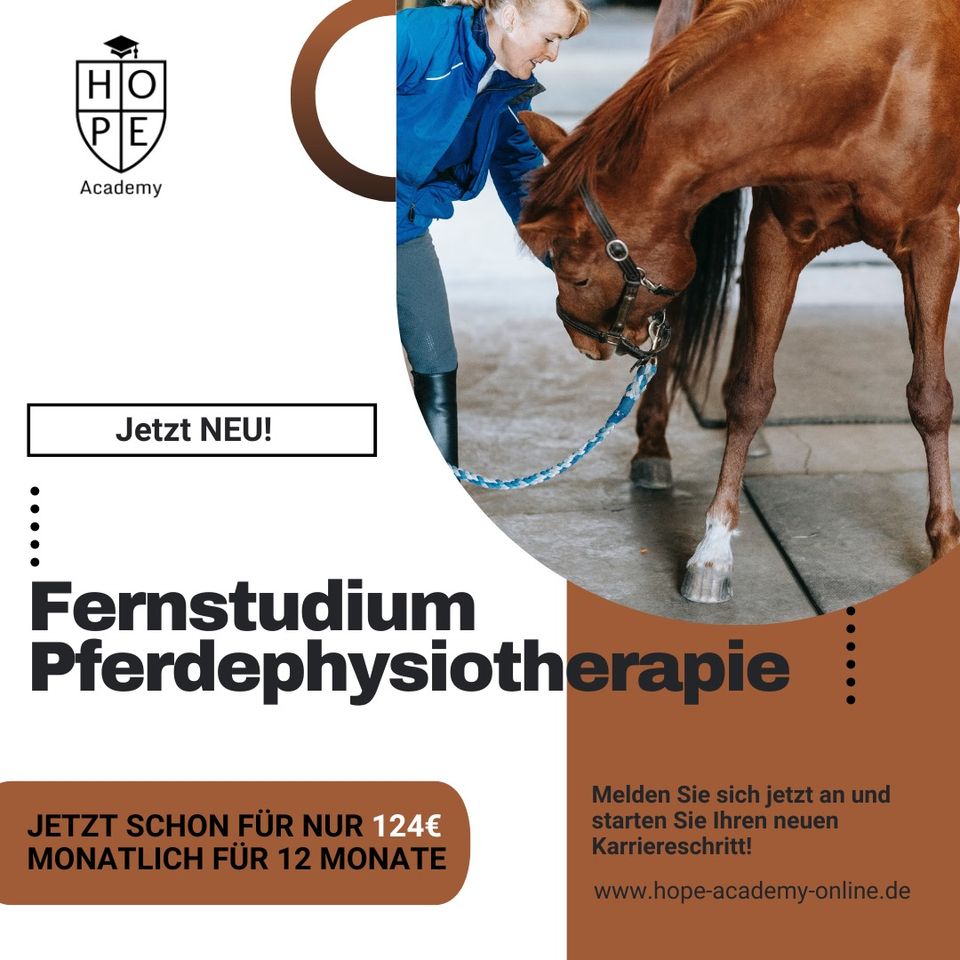 Noch 5 Plätze | Fernstudium Pferdephysiotherapie in Mainz