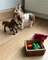 Schleichpony mit Fohlen Bayern - Burgau Vorschau