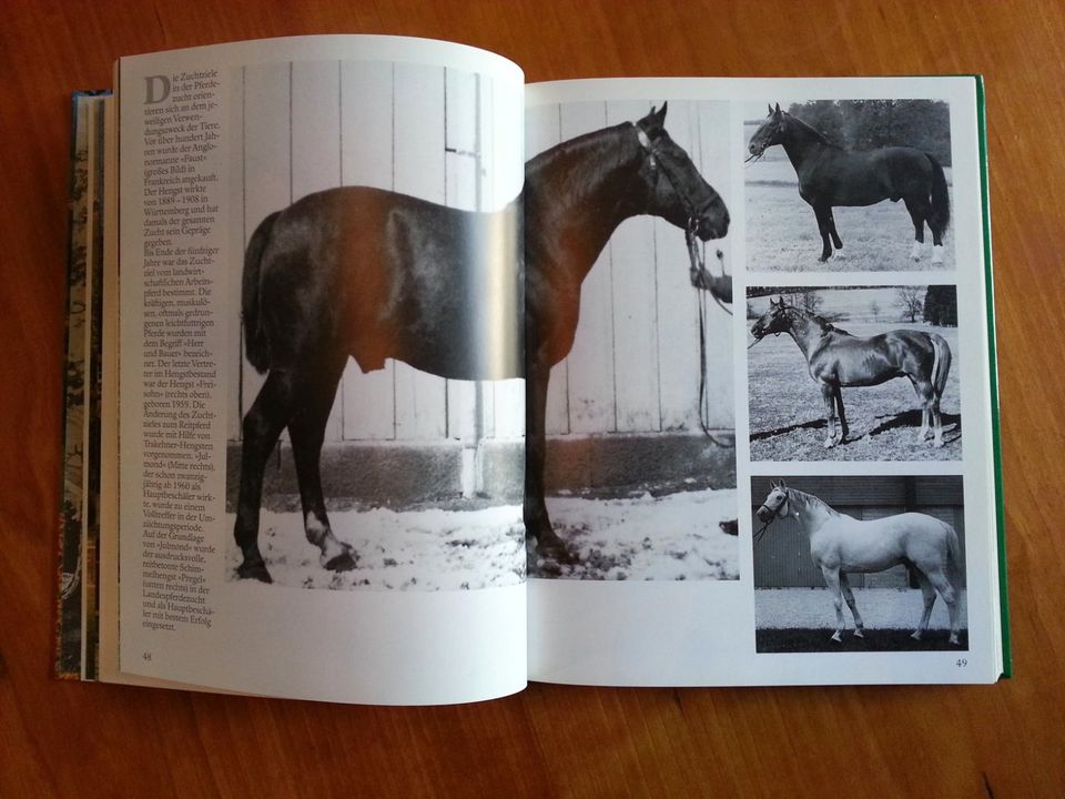 Pferdezucht in Marbach * Hengste Warmblut Araber Trakehner FOTOS in Duisburg