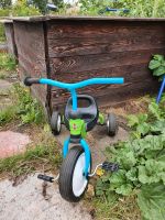 Dreirad für Kleinkinder Rostock - Toitenwinkel Vorschau