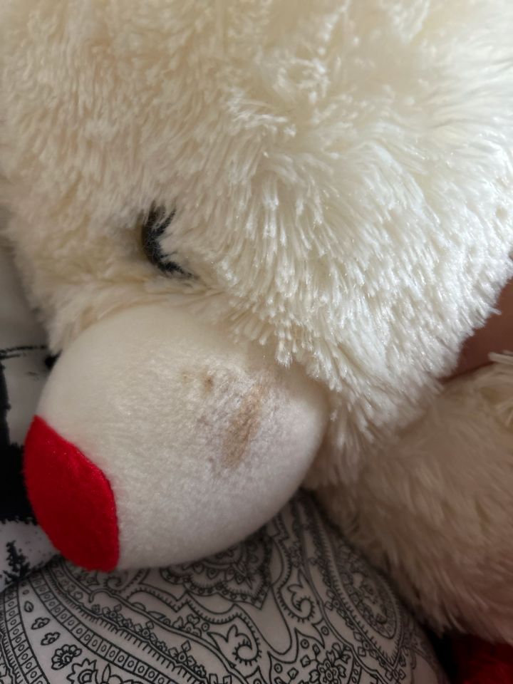 Teddybär nur 10€ in Stuttgart