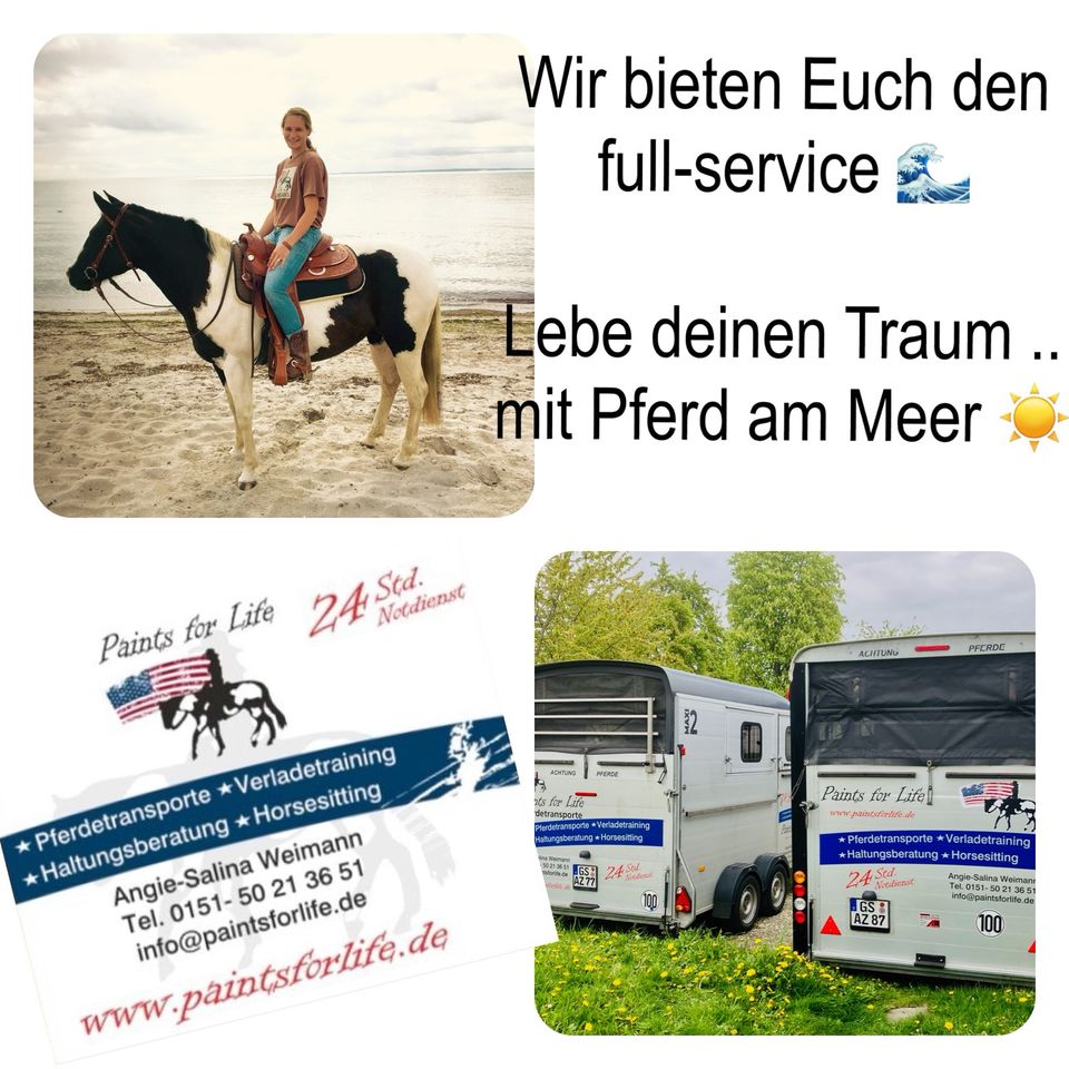 Urlaub mit Pferd in Vienenburg