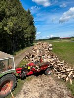 Brennholz Weichholz, Hartholz Bayern - Großaitingen Vorschau