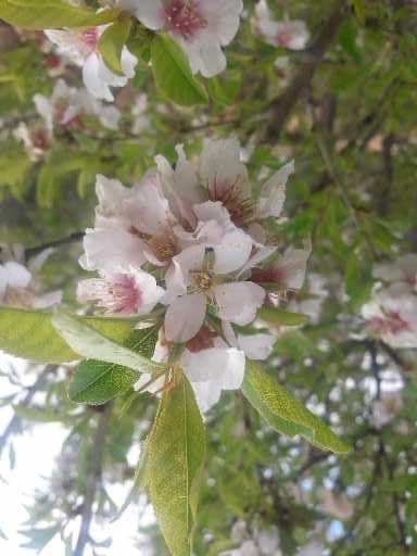 Garten ver mitten in Bochum