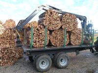 Brennholz, trocken, ofenfertig (50,33,25 cm), Lieferung möglich Bayern - Pfronten Vorschau