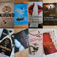 Verschiedene Bücher, Bücherpaket, Roman, Thriller, Jugend Bayern - Offenberg Vorschau