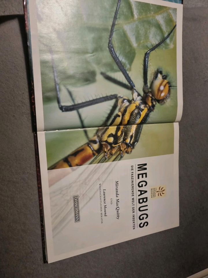 Megabugs : Faszinierende Welt der Insekten Macquitty, Miranda und in Wuppertal