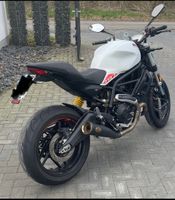 Ducati Monster 797  inklusive Zard Auspuff Brandenburg - Bad Liebenwerda Vorschau