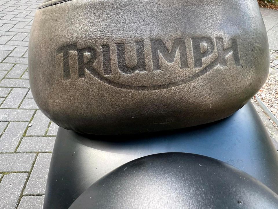 Triumph street twin Sitzbank in Berlin