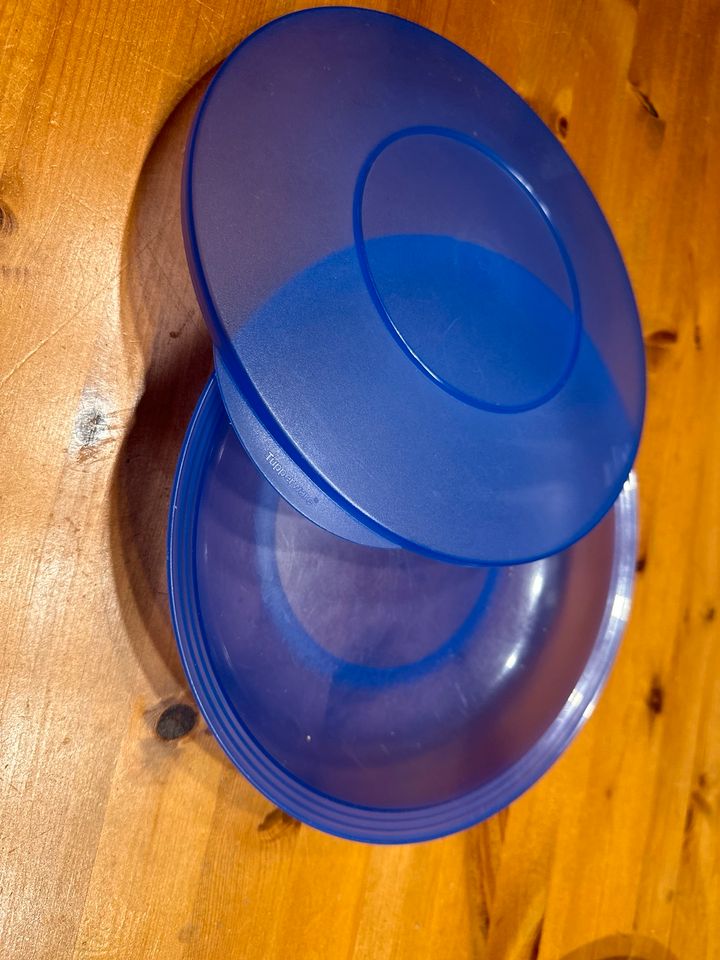 Tupperware junge Welle blau 1 Liter 1000 ml Dose in Berlin