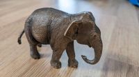 Schleich Elefant - Schleich 14753 Nordrhein-Westfalen - Leopoldshöhe Vorschau