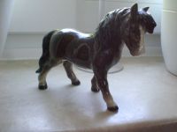 Goebel Pony dunkelbraun 11x14 cn selten Kreis Pinneberg - Uetersen Vorschau