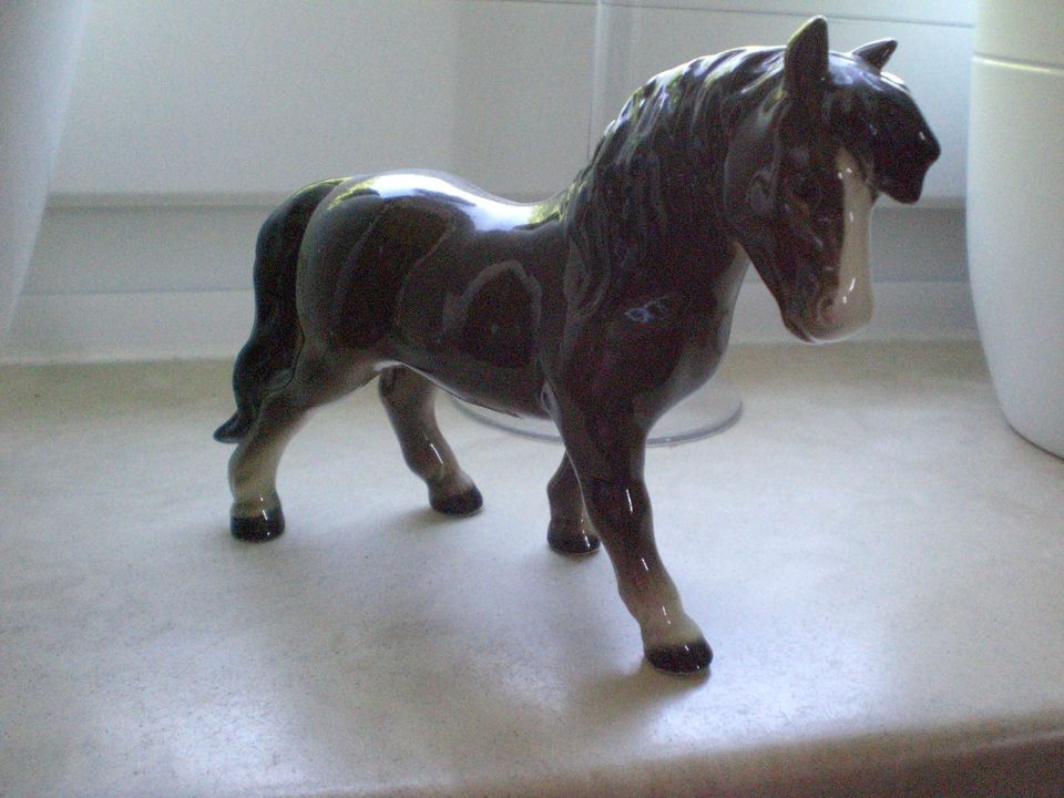 Goebel Pony dunkelbraun 11x14 cn selten in Uetersen