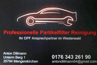 Professionelle Partikelfilter Reinigung DPF Reinigung Hessen - Mengerskirchen Vorschau