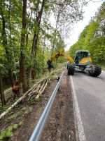 Holztransport, Baumfällung, Holzeinschlag, Rückung Sachsen - Pirna Vorschau