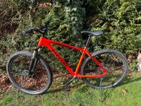 Stevens Applebee Hot Pepper Red Mountainbike / Fahrrad Rot Baden-Württemberg - Dettingen unter Teck Vorschau