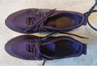 Damen Timberland Sneaker Gr. 39, bordeaux Nordrhein-Westfalen - Mettmann Vorschau