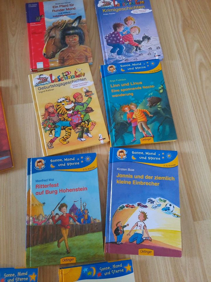 Bücher Lesebücher Kinderbücher für 1 / 2 Klasse in Buchholz in der Nordheide