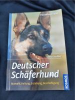 Deutscher Schäferhund Hessen - Gießen Vorschau