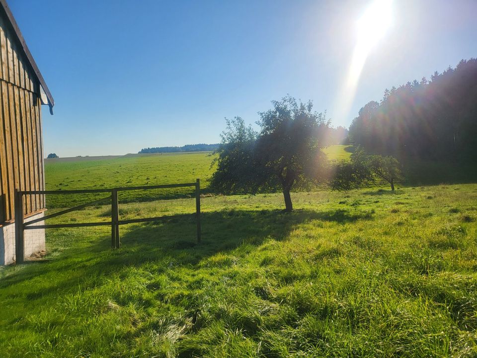 Seltene Gelegenheit! Alleinlage mit über 60.000 m² arrondiertem Grundstück, rund ums Anwesen gelegen in Haarbach