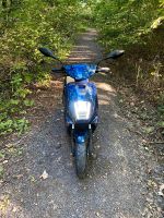 Tapo Online Roller 50 ccm 25 km/h Moped Mofa Hessen - Alsfeld Vorschau