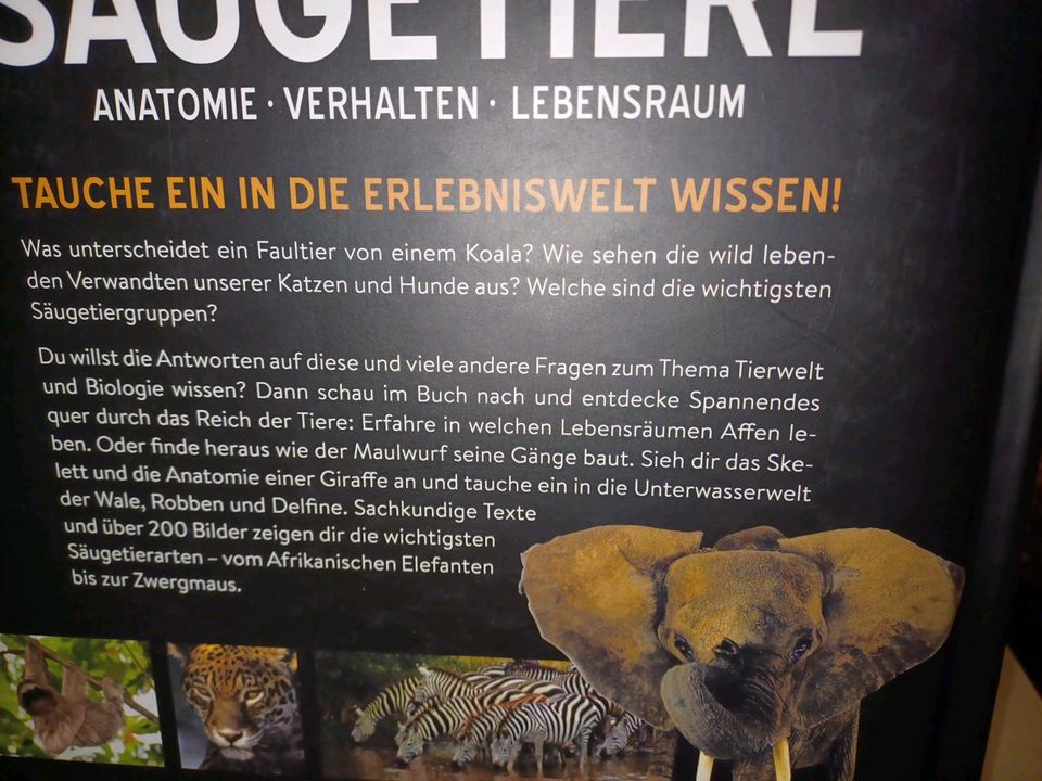 Erlebniswelt Wissen: Säugetiere in Lennestadt