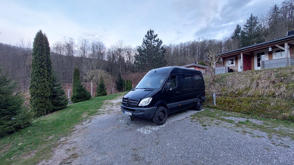 Mercedes Sprinter 316 Camper L2H2 in Sauensiek