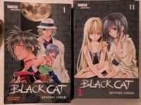 Carlson Verlag -Manga - Black Cat 1-20 Neustadt - Alte Neustadt Vorschau