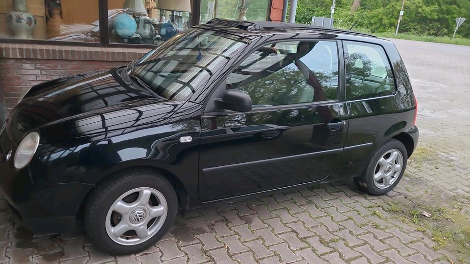 VW Lupo mit Faltdach Cabrio in Saterland