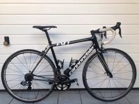 Cannondale Super Six Evo, WMN, Ultegra, Di2, RH51 Hessen - Herborn Vorschau