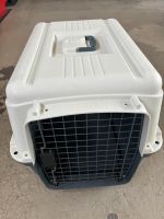 AniOne Hunde Katzen Transportbox Bayern - Solnhofen Vorschau