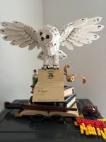 Lego Hedwig 76391 Neumünster - Wasbek Vorschau