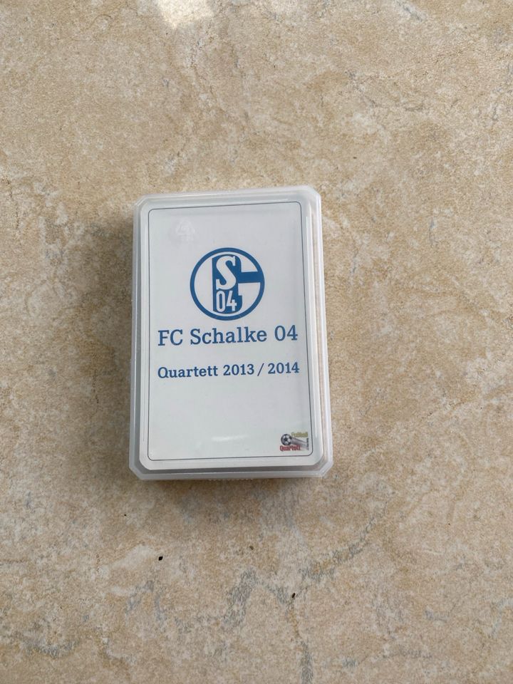 Schalke 04 Quartett Saison 2013/14 in Lautertal