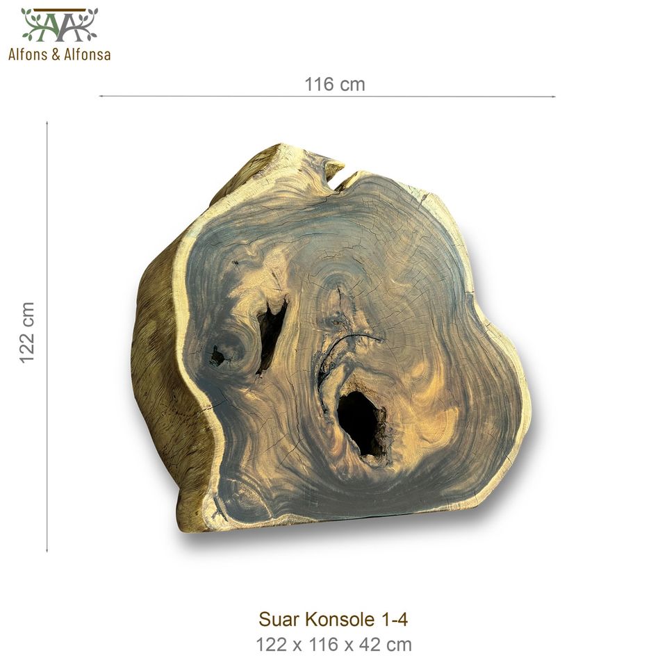 Suar Konsole Baumstammscheibe Sideboard Couchtisch Coffeetable in Marsberg