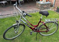 Giant Blazer Damenfahrrad Nordrhein-Westfalen - Nörvenich Vorschau