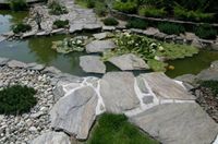 Grauwacke große Steinplatten | Trittplatten | Stein für Gartenweg Brandenburg - Schwedt (Oder) Vorschau